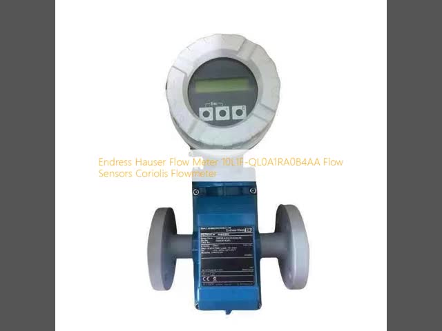 E H プロリン プロマグ 10L 電磁流量計 10L1F 濡れた材料 316L ステンレス鋼 出力信号 4-20 MA 長