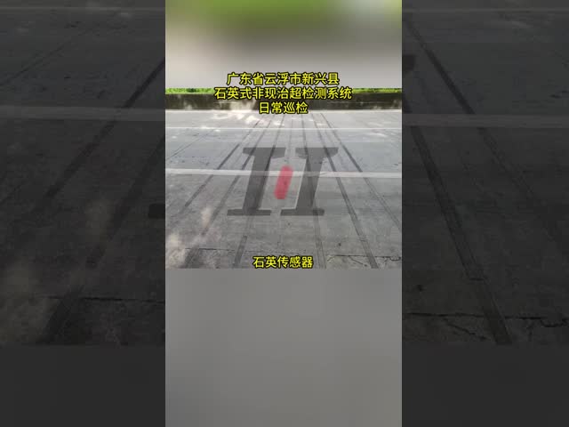 Dynamic Weighing System Speed 0.5-105km/h for Accurate Weighing Results