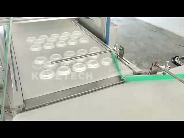 OEMのペーパー プラスチック コップの品質管理のための自動遠隔視覚検査システム