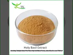 प्राकृतिक खाद्य ग्रेड पवित्र तुलसी का अर्क पाउडर पवित्र तुलसी के पत्ते अर्क पाउडर