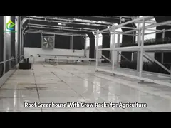Agricultural Greenhouse Customized Mushroom Vegetable Grow Racks Double Layers