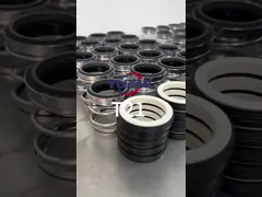 China Grundfos Pump  Cartridge Mechanical Seal GLF-G4-16mm   for Cnp Cdl/Cdlf Pumps Material Sic/Sic/Vit supplier