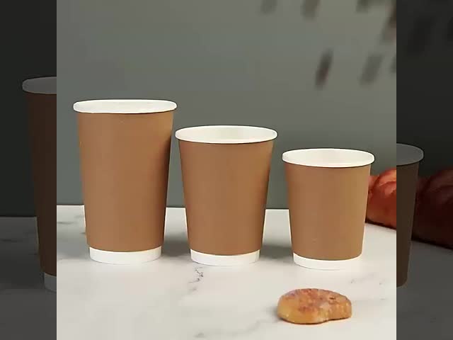 ISO9001 430ml Double Wall Paper Cup Eco Friendly 12oz Paper Cup
