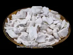 Industrial Grade Basic PH 9-10 Calcined Bone Ash For Sale White Powder For Processing Line