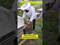 Étoile d'abeille Triple couche Ventilation de vêtements d'apiculture Vêtements à l'épreuve des abeilles Avec le flux d'air voile video