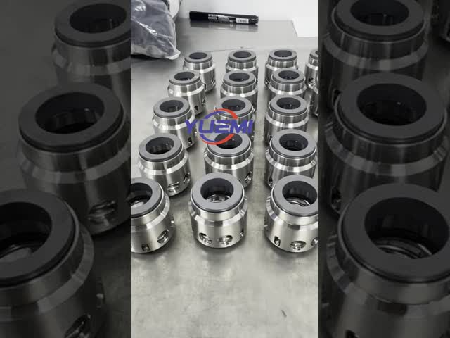 Многоступенчатый ксилем ITT Lowara Sv Насосы механическая уплотнение ROTEN-85EK-22