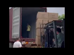 Customized 3 Cavity Clamshell Clear Pet Deep Cavity Seedling Tray