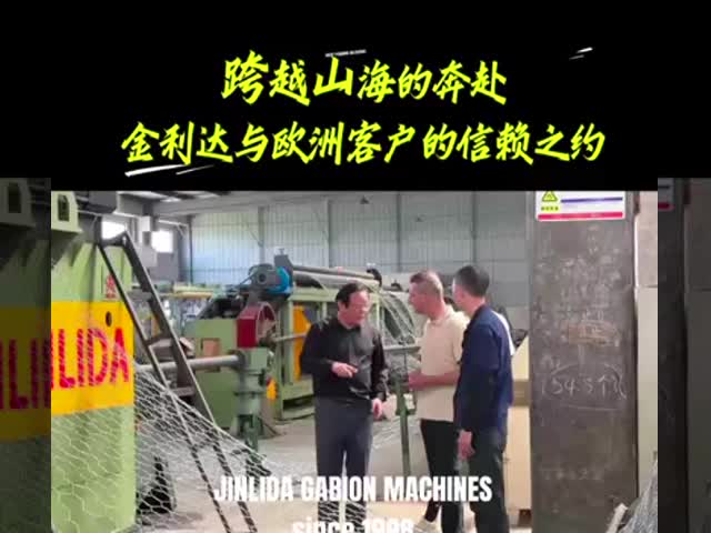 da movimentação dobro da cremalheira da largura de 4300mm máquina resistente de Gabion