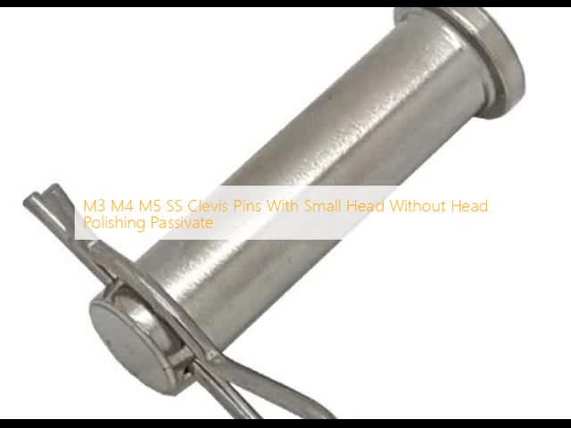 M3 M4 M5 SS 小型頭付きのクリーブスピン
