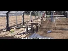 China UV Resistant Plastic Sheeting Greenhouse 20-100m Length Mosquito Net Greenhouse supplier