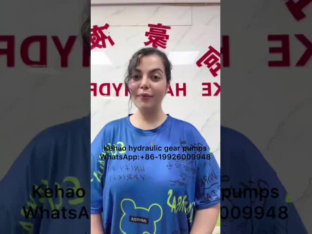705-51-10150 Нагрузчик на колеса 85ZA 85ZIV 90ZIV Гестотный насос / насос переменной скорости
