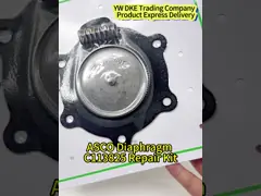 China Plunger Actuator Solenoid Operated Valve 00242346 IP65 Industrial Applications supplier