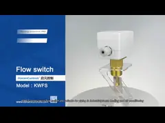 Liquid Flow Measurement Flow Switches With Paddle Sensing Element -20C-120C Temperature Range