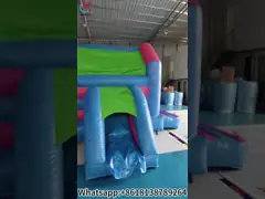 Gewerblich aufblasbares Lilo & Stitch Sprunghaus mit Rutschkombination