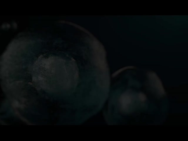 Habio Video