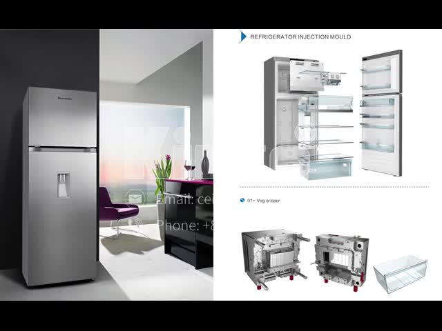 Refrigerator Injection Mould