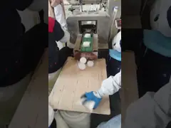 White granules Ph Value 2.7-3.3 At 25oC 1% Aqueous Solution Water Treatment Chemicals in White Powder Form for Industrial Trichloroisocyanuric acid