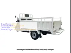 2.4m Heavy Loading 3 Wheel Cargo Motorcycle 250cc 1400rpm