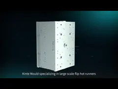 Injection Mould