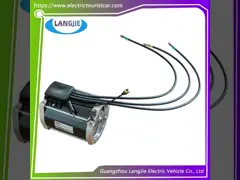 EZGO RXV Motore elettrico per carrelli da golf Motore CA 48V Componente da 3,3 kW
