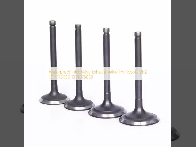 トヨタ 2RZ 1371175030 1371575030用の防水入口バルブ排気バルブ