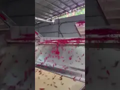 6-12 Tons Per Hour Large Output, High Precision Pepper Color Sorter
