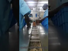 Automatyczna maszyna do pakowania ciasteczek SWH-7017