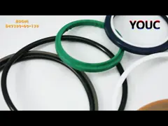 HS-770-D-BOOM-DC7309-65-130 Graafmachine Model Seal Kit Reparatie Hydraulische olie afdichtingen Voor zware constructies