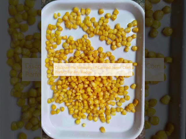 Discover the Versatility of Canned Sweet Corn Perfect for Any Recipe