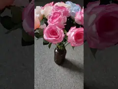 Одно разбитое синее ледяное розовое изображение с реалистичным оттенком для фотосессии на День святого Валентина с эквадорскими розами.