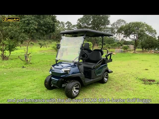 4つの座席電気ゴルフ カート、Caddleの版が付いている普及した48V電気ゴルフ バギー