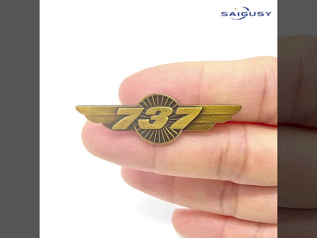 747 翼のブローチ アクセサリー パーソナライズ 商用パイロット 翼のピン