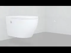 China North America Modern One Piece Ceramic Siphonic Toilet Dual Flush Floor Mounted White for Bathroom supplier