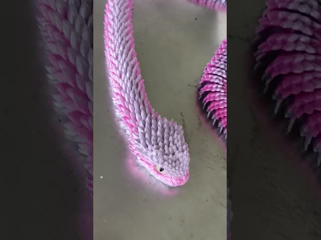 Seda Dual Color Roxo Prata PLA Plus Filamento Durabilidade Melhorada Filamento de Impressora 3D