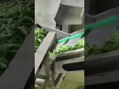 시간당 15톤 이중층 크롤러 AI 심층 자학 에다마메 색상 분류기