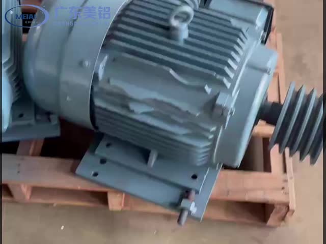 効率的な省エネの3相アシンクロンモーター