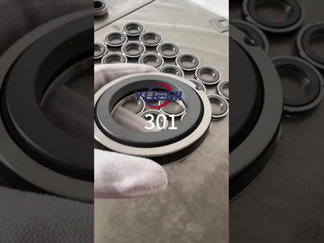 液体油ポンプシール 301 AES B01 様々な水ポンプ型 軽機械シール 301