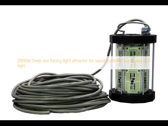 2000W 深海釣り灯 アトラクター 氷釣り LED灯 イカ/クラゲ