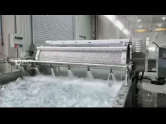Asparagus Cutting Washing Processing Line / Broccoli Production Machine / Asparagus Processing Machinery Line