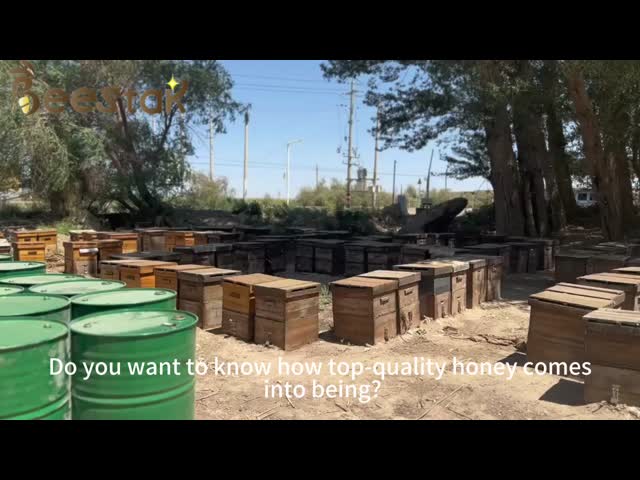 Durable White Thick Sheepskin Bee Gloves Beekeeping In Winter Warm Beekeepers