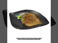 Extracto vegetal Extracto natural de Schisandra Chinensis Extracto em pó Extracto de Schisandra Berry