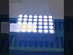Ultra jasny biały 0,7 cala 1,9 mm 5 x 7 DOT Matrix LED Display