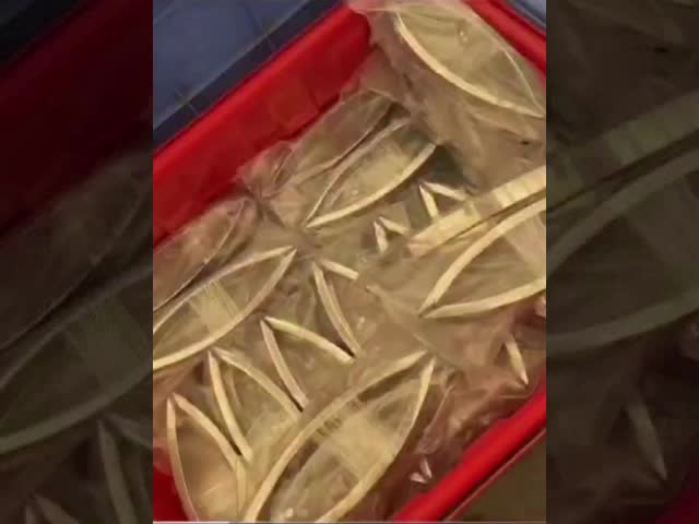 月形 弧形 シャワー 部屋 ガラス ドア ハンドル トイレ 浴室 ドア ハンドル