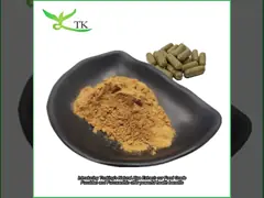 Extracto de Fucus vesiculosus natural Fucoxantina em pó