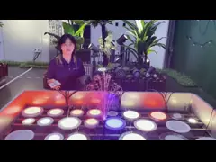 IP68 수중 ABS+PC 재료18 키 원격 제어 일정한 전류 AC 12V 표면 장착 수영장 조명