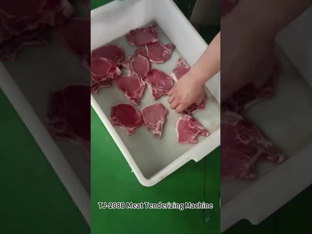 Машина предложения косточки мяса нержавеющей стали/коммерчески свободное оборудование подколенного сухожилия