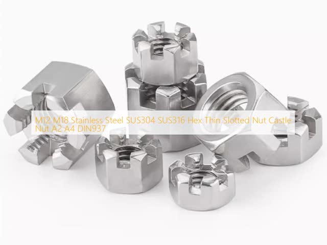 M12 M18 ステンレス鋼 SUS304 SUS316 ヘクサックス 薄型スロットナッツ 城ナッツ A2 A4 DIN937