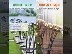 China Solar Powered LED Fiber Optic Lamp IP54 Reeds Outdoor LED Floor Lamp supplier