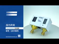 Stainless steel Dual Adjustable Pressure Switches For Water Pump