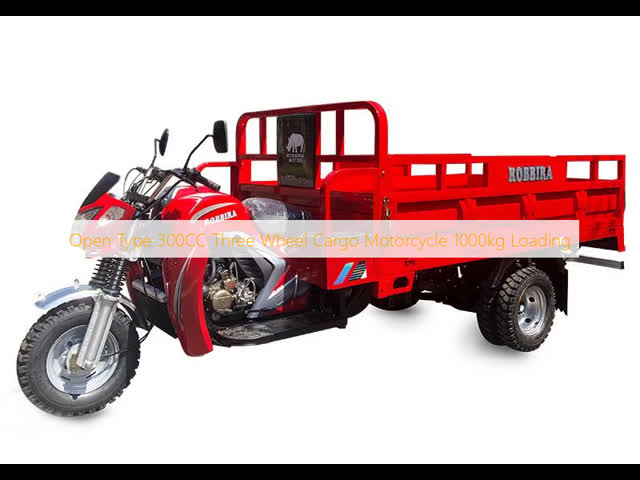 タイプ300CC 3の車輪の貨物オートバイ1000kgのローディングを開けなさい